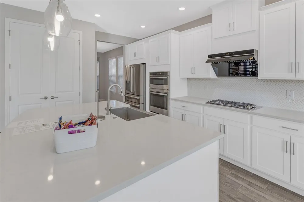 10551 TRANQUIL MEADOW LOOP Riverview, FL 33569