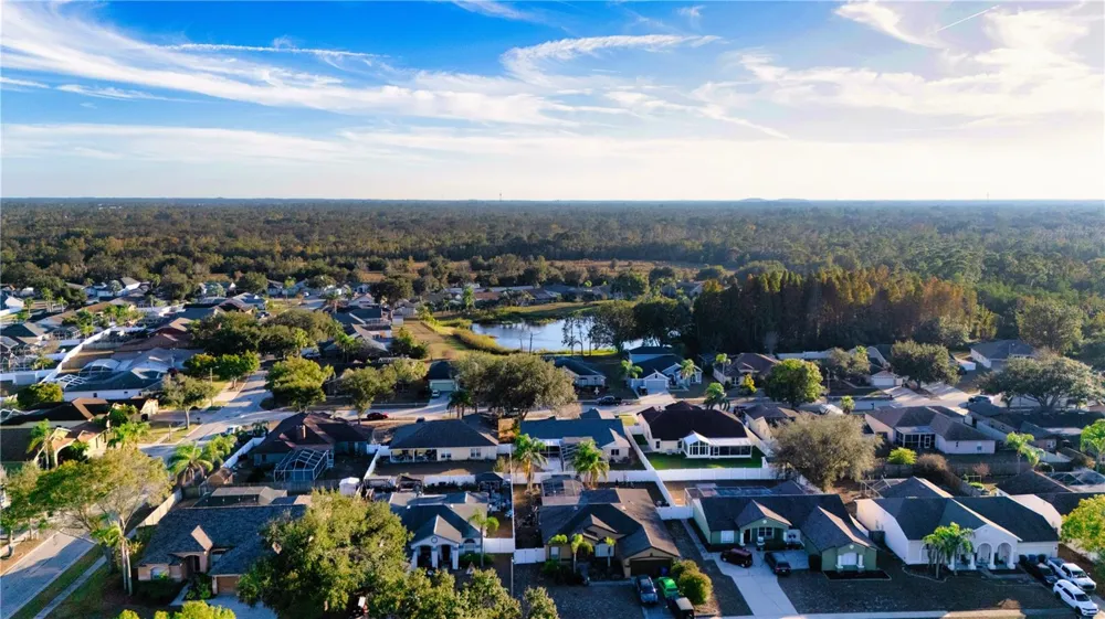 10551 TRANQUIL MEADOW LOOP Riverview, FL 33569