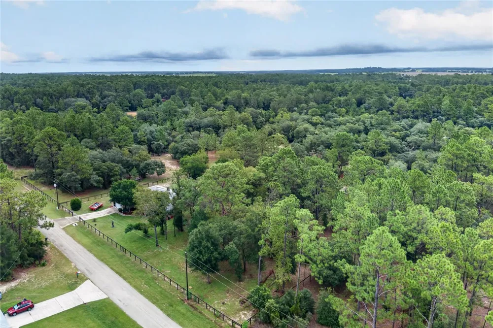 389 SW BIG TREE ROAD Dunnellon, FL 34431