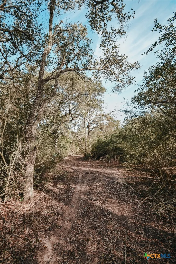 Vitek Lane Inez, TX 77968