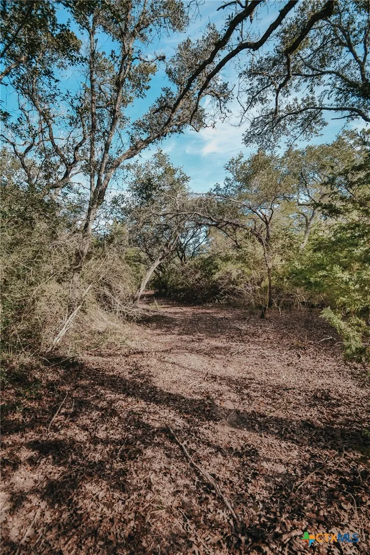 Vitek Lane Inez, TX 77968