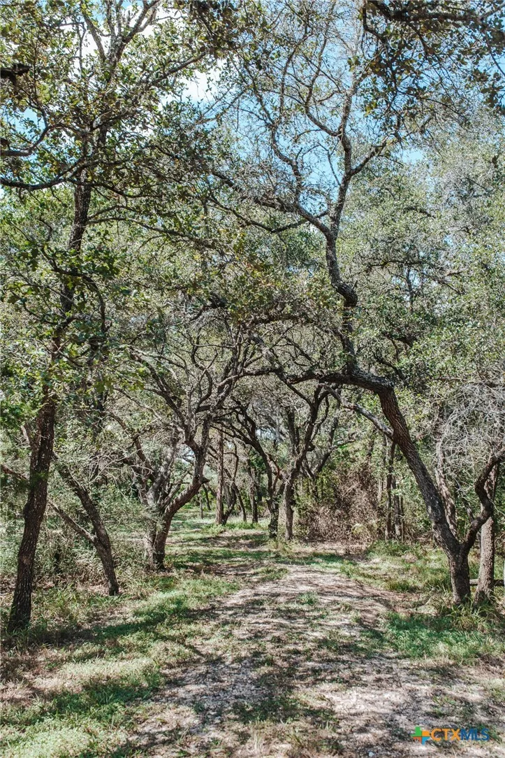 Vitek Lane Inez, TX 77968