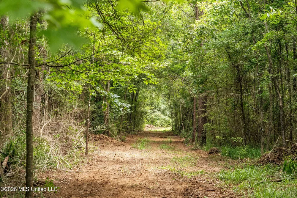 Middle Glading Road Magnolia, MS 39652