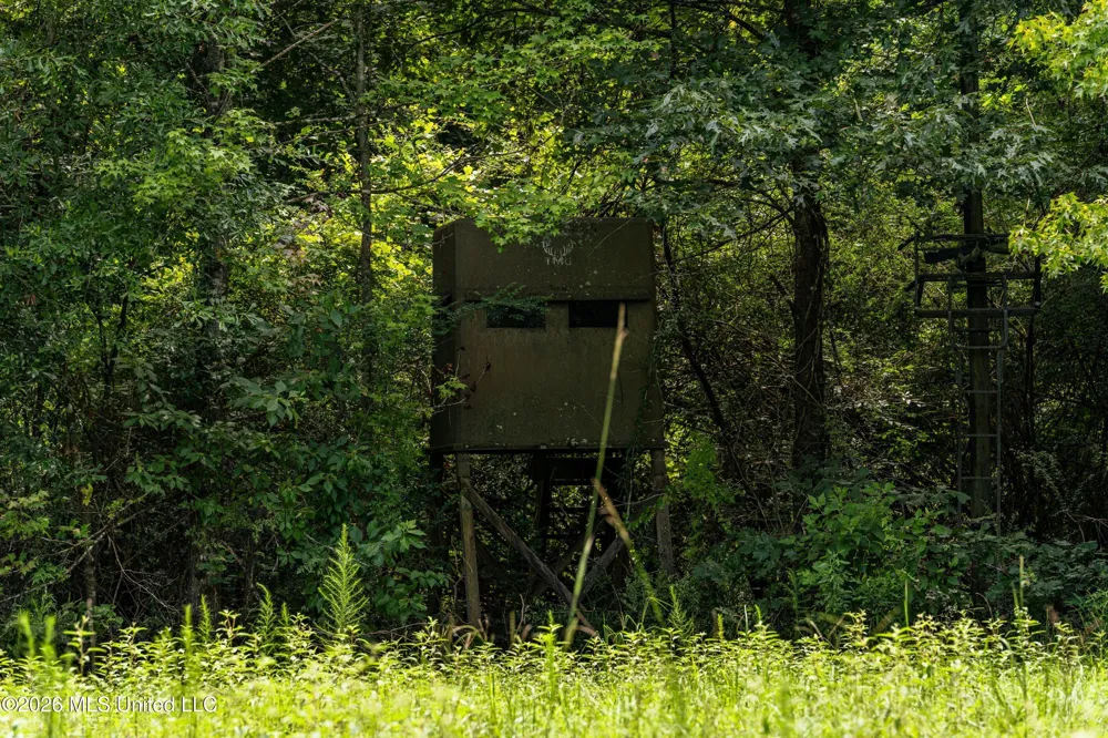 Middle Glading Road Magnolia, MS 39652