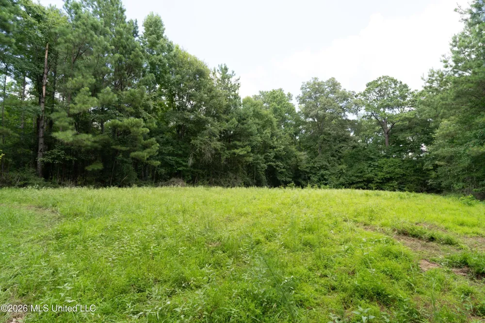 Middle Glading Road Magnolia, MS 39652