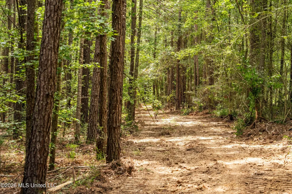 Middle Glading Road Magnolia, MS 39652