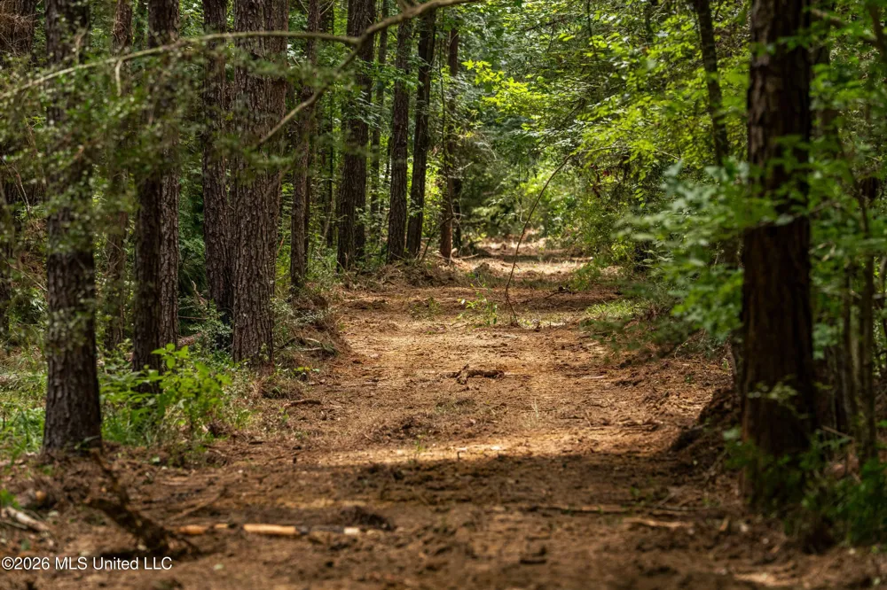 Middle Glading Road Magnolia, MS 39652