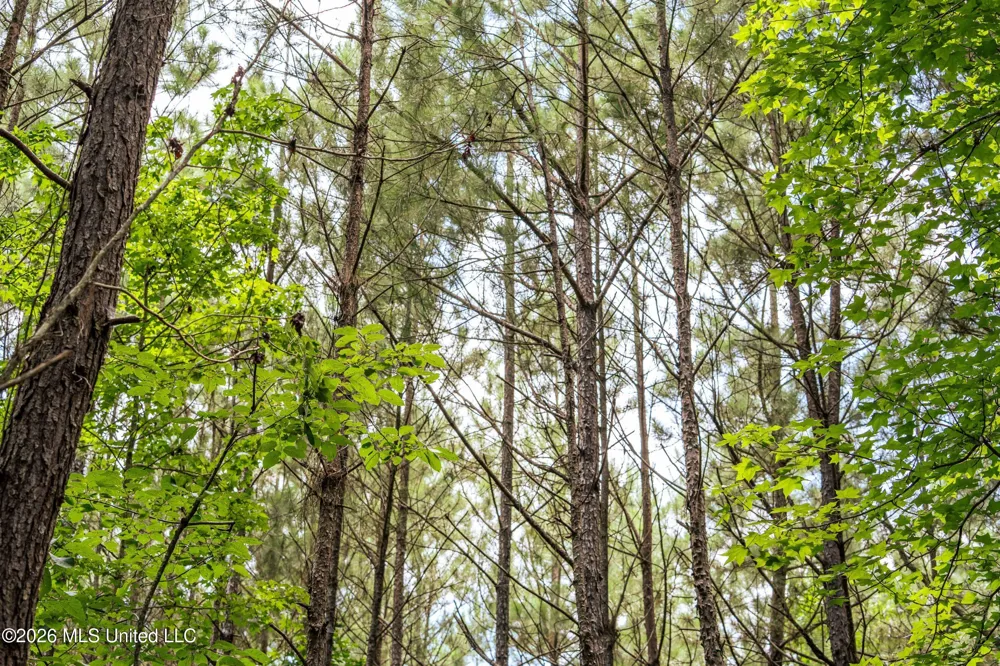 Middle Glading Road Magnolia, MS 39652
