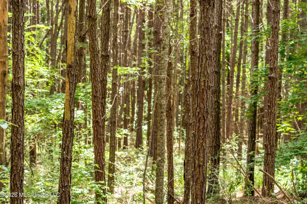 Middle Glading Road Magnolia, MS 39652