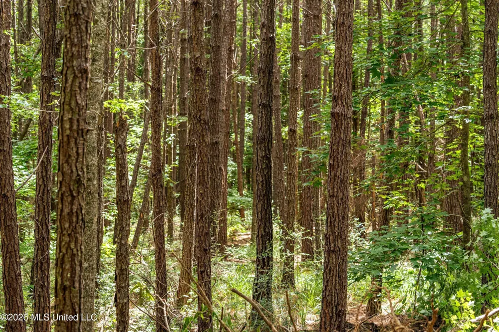 Middle Glading Road Magnolia, MS 39652