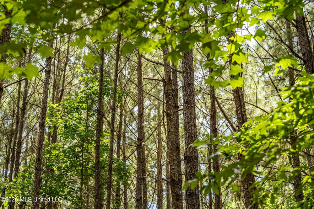 Middle Glading Road Magnolia, MS 39652