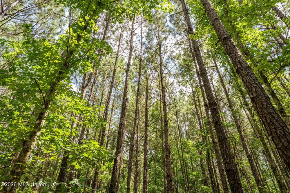 Middle Glading Road Magnolia, MS 39652