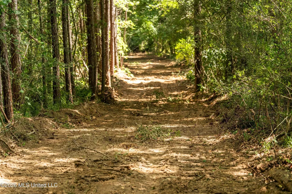 Middle Glading Road Magnolia, MS 39652