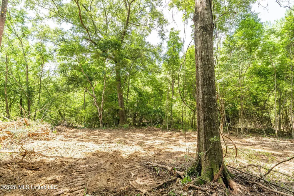 Middle Glading Road Magnolia, MS 39652
