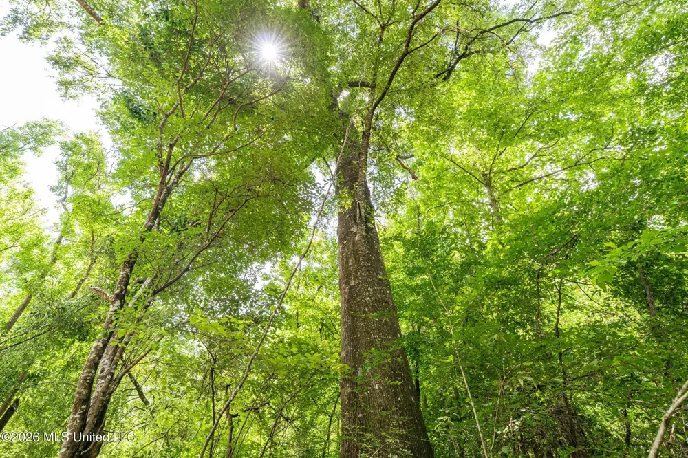 Middle Glading Road Magnolia, MS 39652