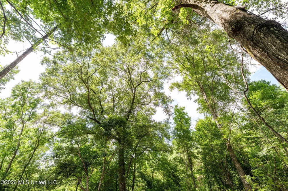Middle Glading Road Magnolia, MS 39652