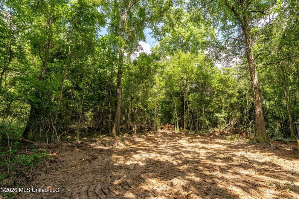 Middle Glading Road Magnolia, MS 39652