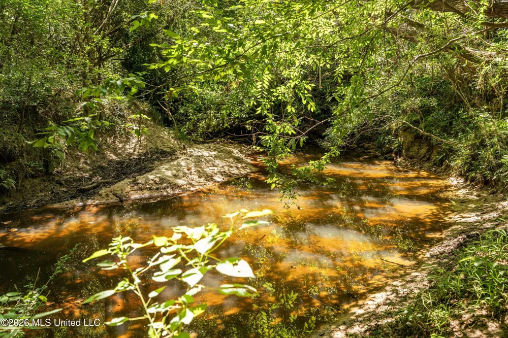 Middle Glading Road Magnolia, MS 39652