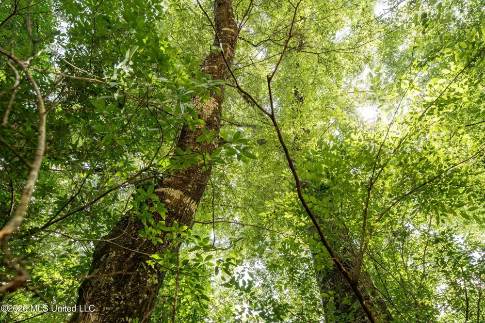 Middle Glading Road Magnolia, MS 39652