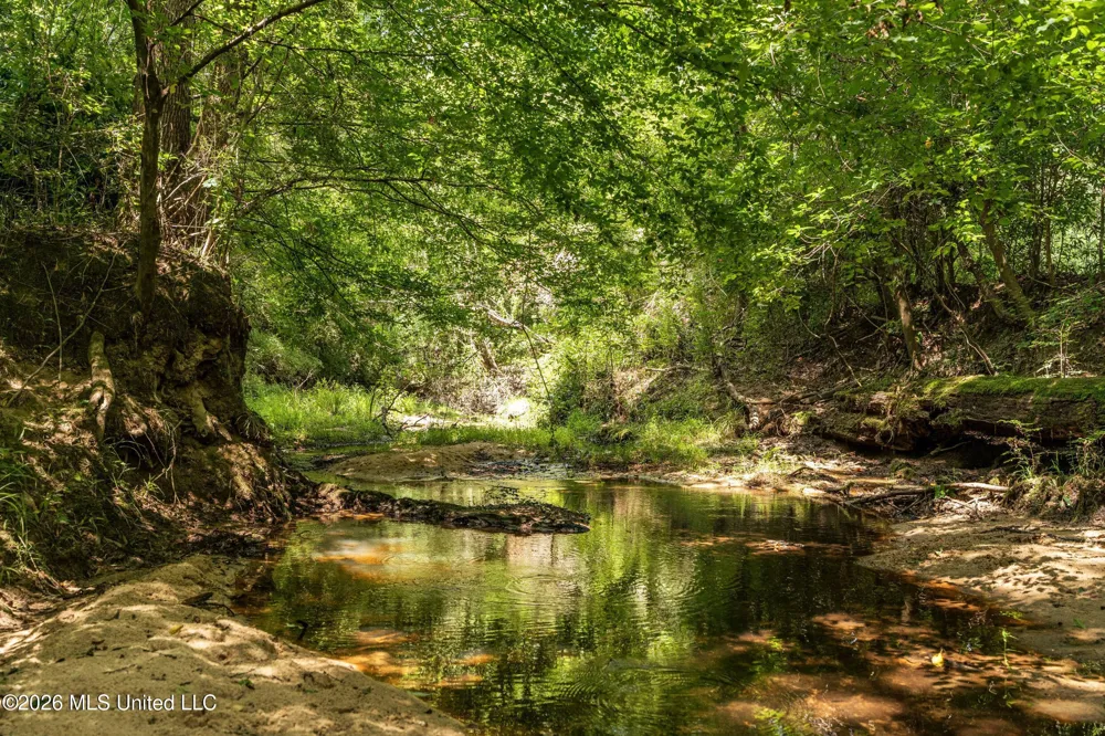 Middle Glading Road Magnolia, MS 39652