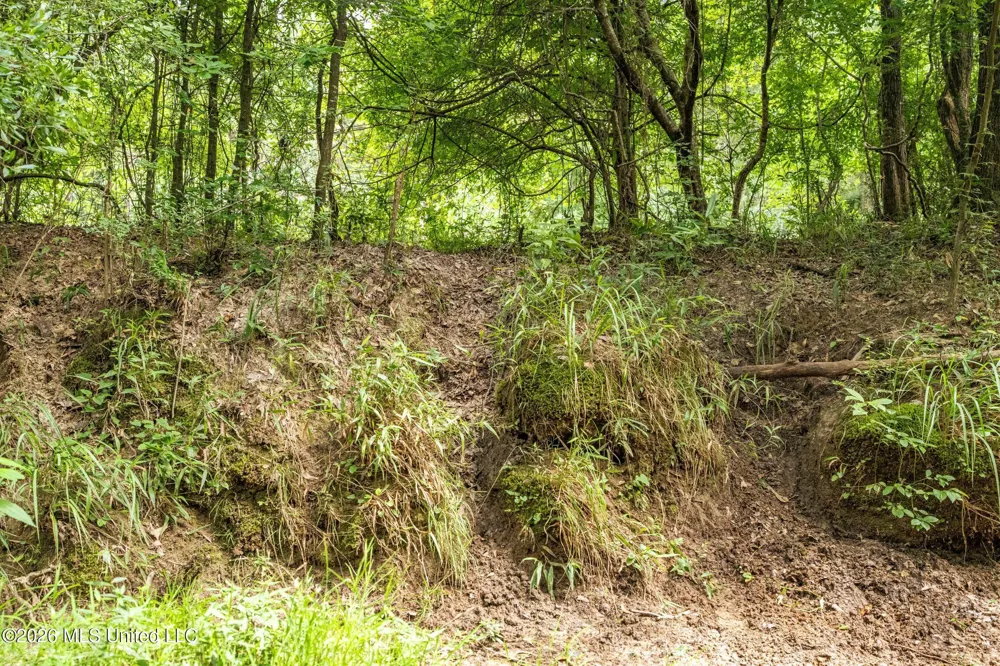 Middle Glading Road Magnolia, MS 39652