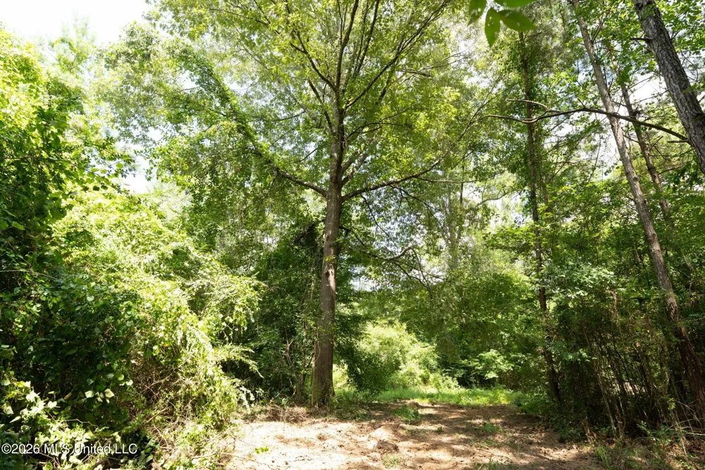 Middle Glading Road Magnolia, MS 39652