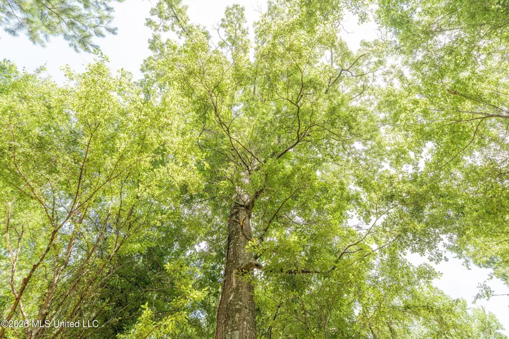 Middle Glading Road Magnolia, MS 39652
