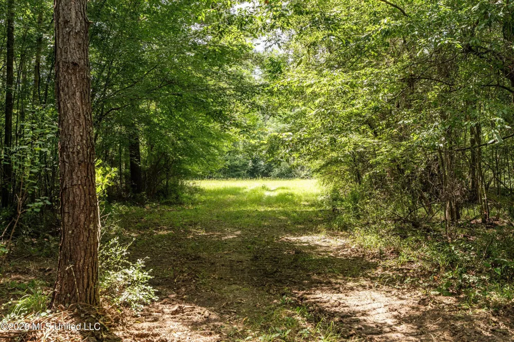Middle Glading Road Magnolia, MS 39652