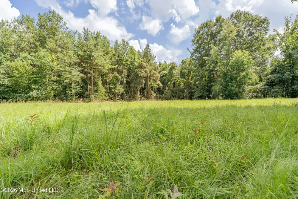 Middle Glading Road Magnolia, MS 39652