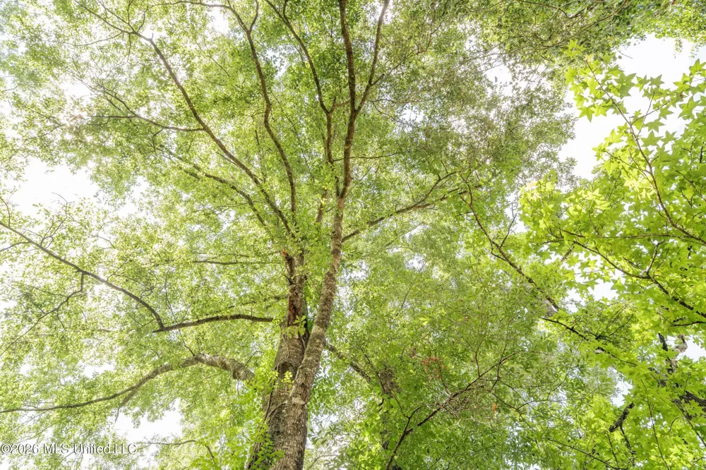 Middle Glading Road Magnolia, MS 39652
