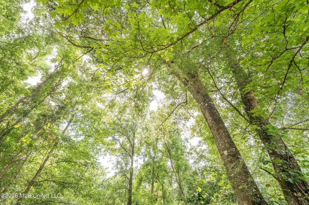 Middle Glading Road Magnolia, MS 39652