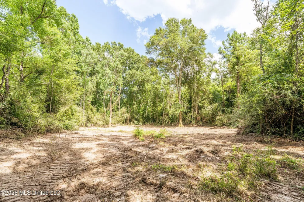 Middle Glading Road Magnolia, MS 39652