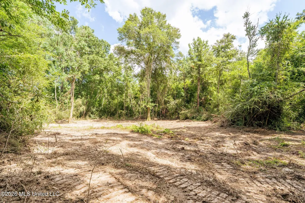 Middle Glading Road Magnolia, MS 39652