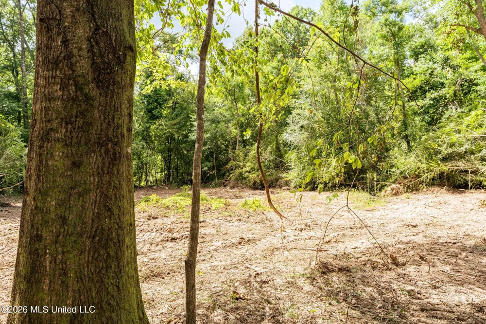 Middle Glading Road Magnolia, MS 39652