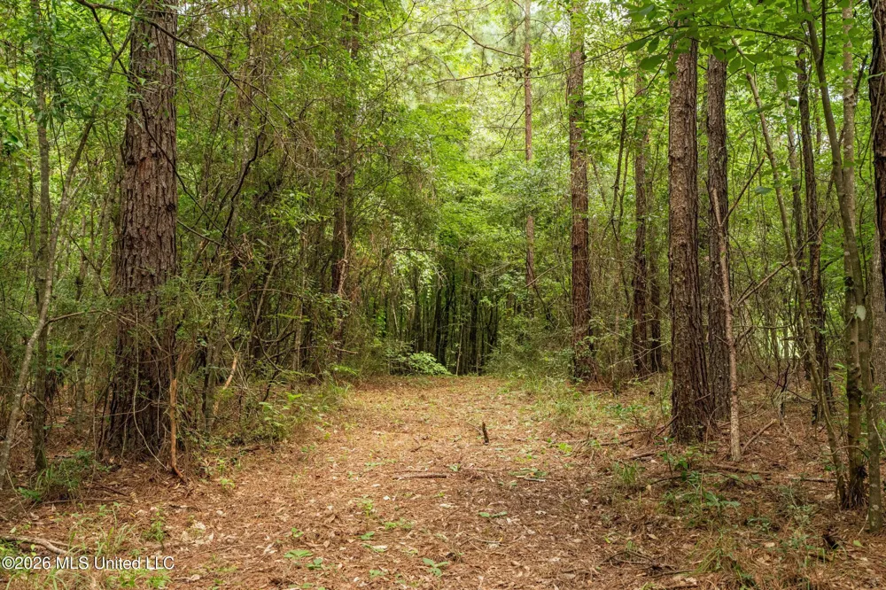 Middle Glading Road Magnolia, MS 39652