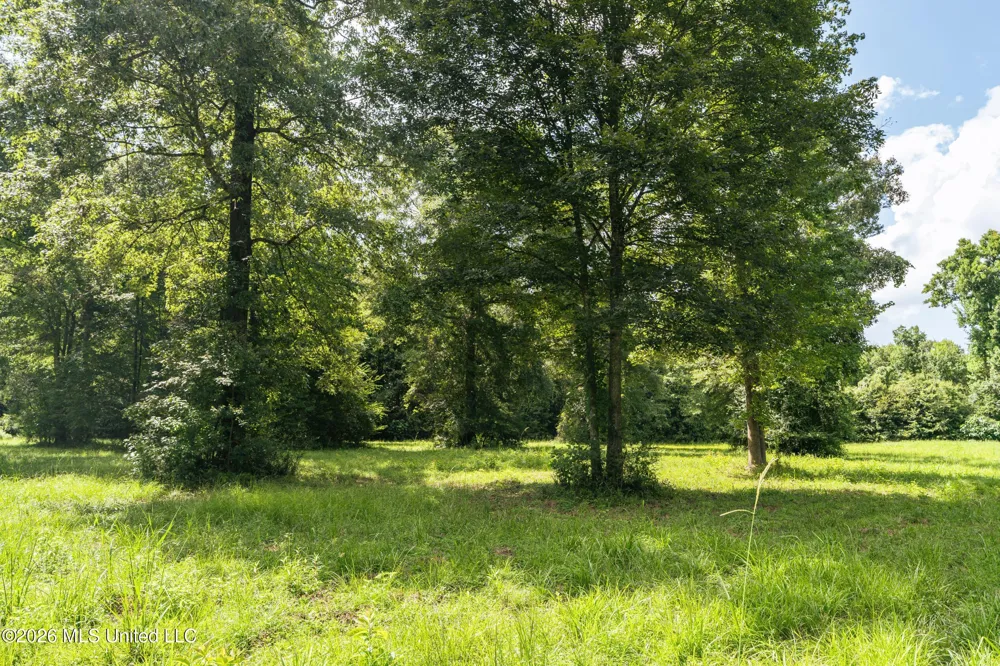 Middle Glading Road Magnolia, MS 39652