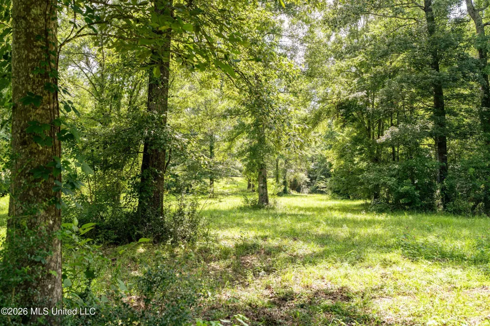 Middle Glading Road Magnolia, MS 39652