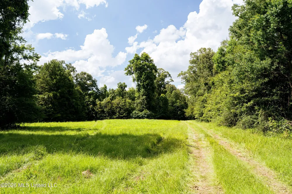 Middle Glading Road Magnolia, MS 39652