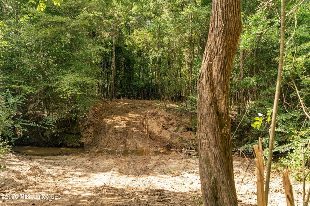 Middle Glading Road Magnolia, MS 39652