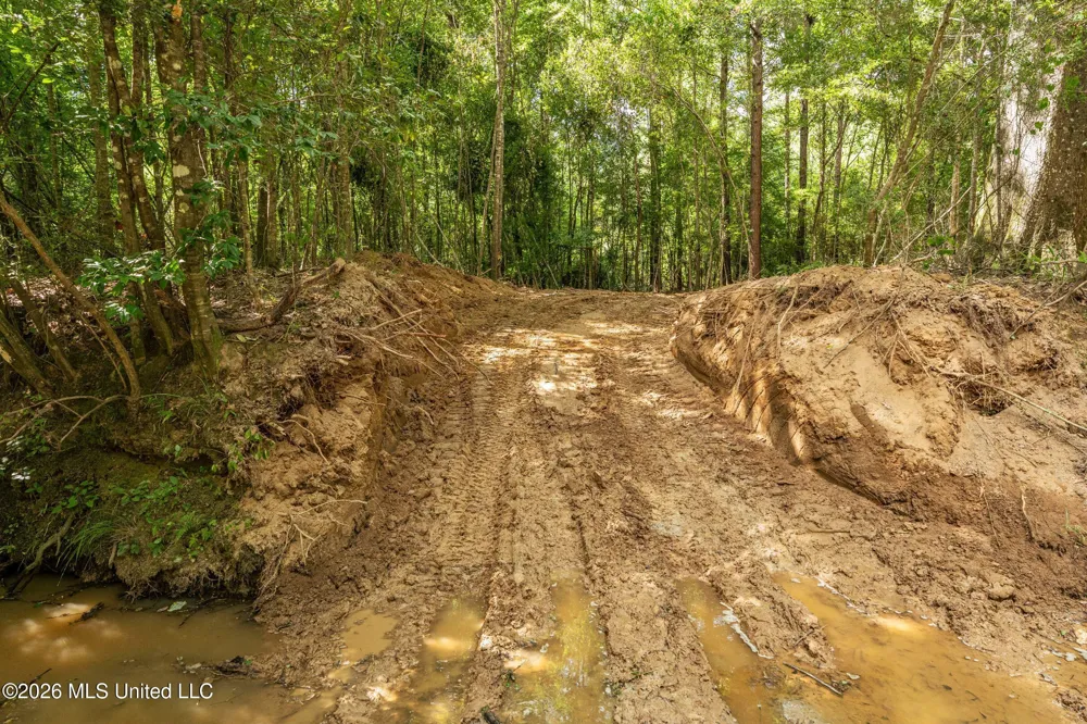 Middle Glading Road Magnolia, MS 39652