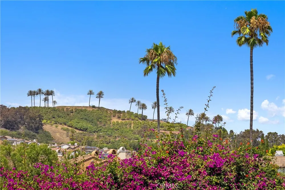 31482 Carril De Maderas San Juan Capistrano, CA 92675