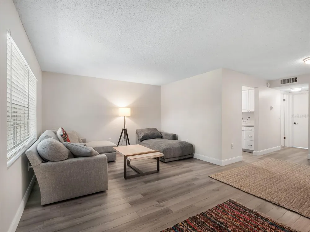 4335 AEGEAN DRIVE #116A Tampa, FL 33611