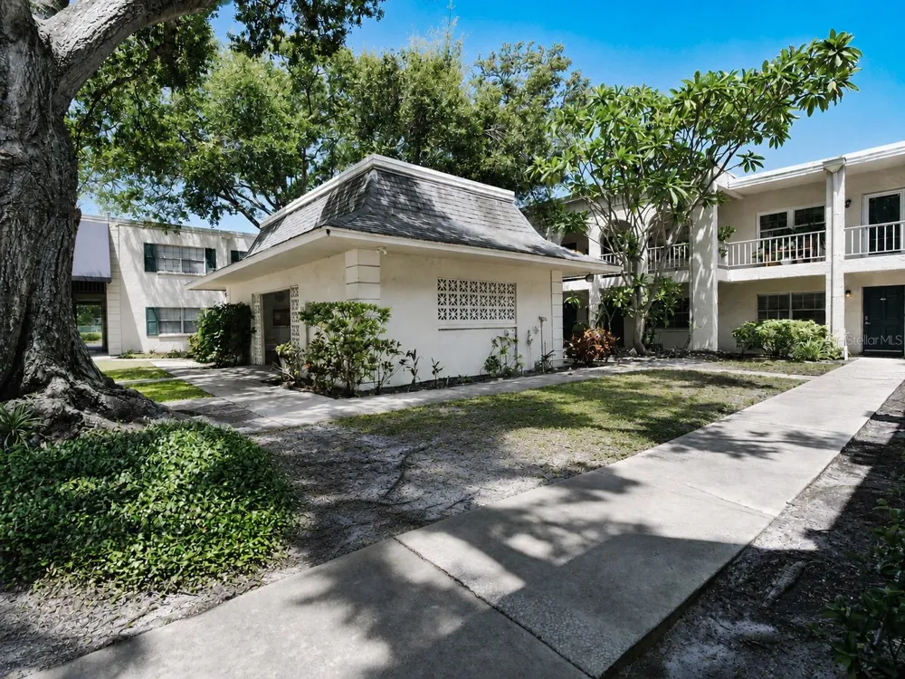 4335 AEGEAN DRIVE #116A Tampa, FL 33611