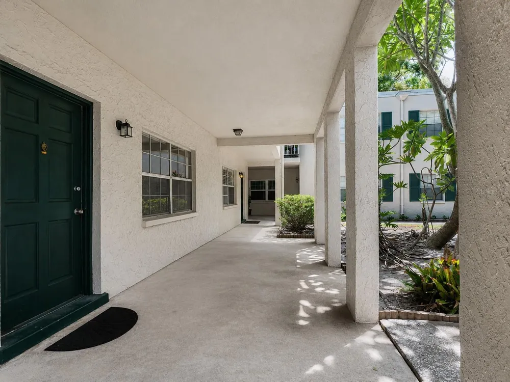4335 AEGEAN DRIVE #116A Tampa, FL 33611