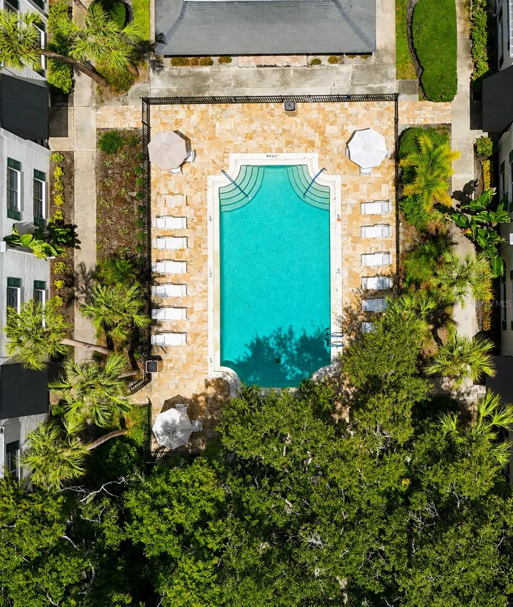 4335 AEGEAN DRIVE #116A Tampa, FL 33611