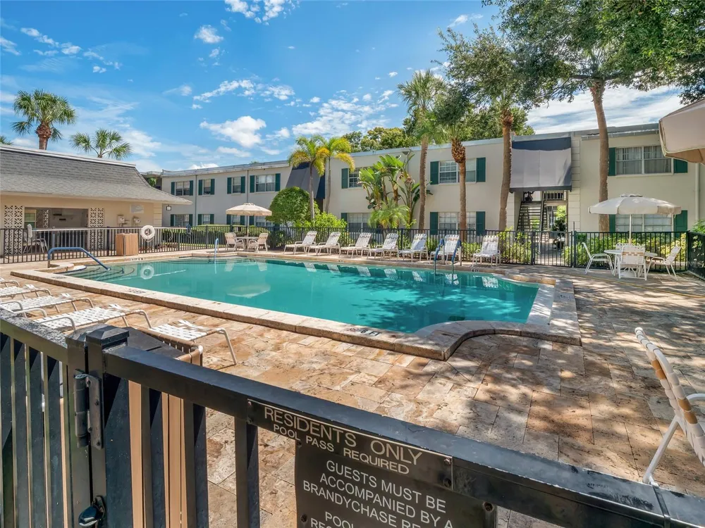 4335 AEGEAN DRIVE #116A Tampa, FL 33611