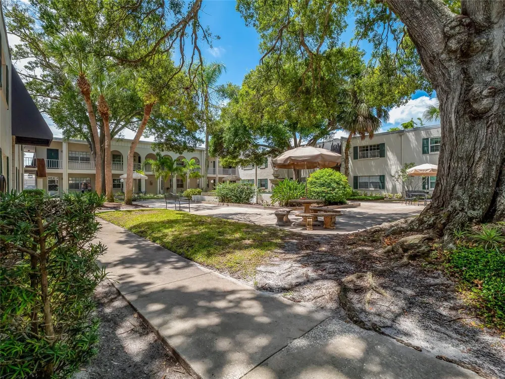 4335 AEGEAN DRIVE #116A Tampa, FL 33611