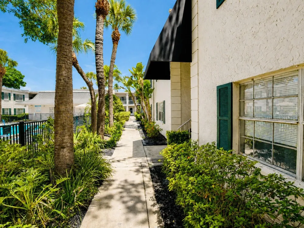 4335 AEGEAN DRIVE #116A Tampa, FL 33611
