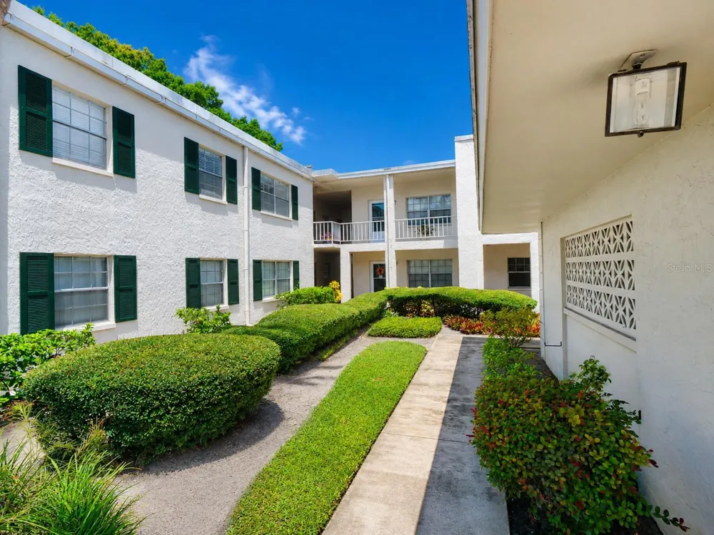 4335 AEGEAN DRIVE #116A Tampa, FL 33611