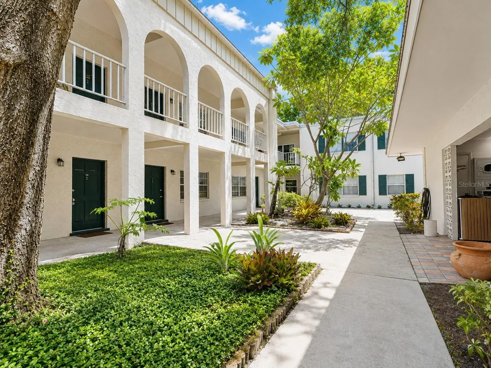 4335 AEGEAN DRIVE #116A Tampa, FL 33611